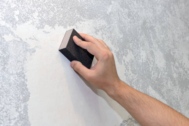 Best Environmental Consulting for Mold Prevention  in Monte Sereno, CA